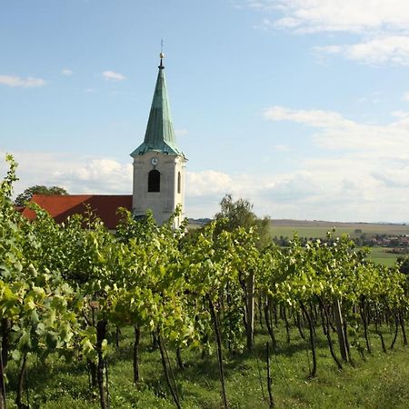 Ubytovani Ve Vinarstvi Medek | Medek House & Winery Uherské Hradiště 外观 照片