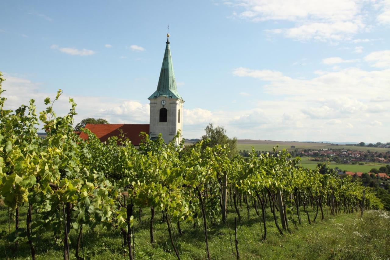 Ubytovani Ve Vinarstvi Medek | Medek House & Winery Uherské Hradiště 外观 照片